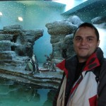 Poze cu pinguinii la Gradina Zoologica, am umblat 5 ore sa vizitam toate animalutele"